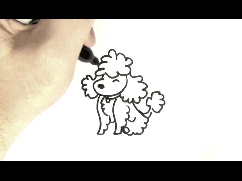 480x360 How To Draw A Poodle