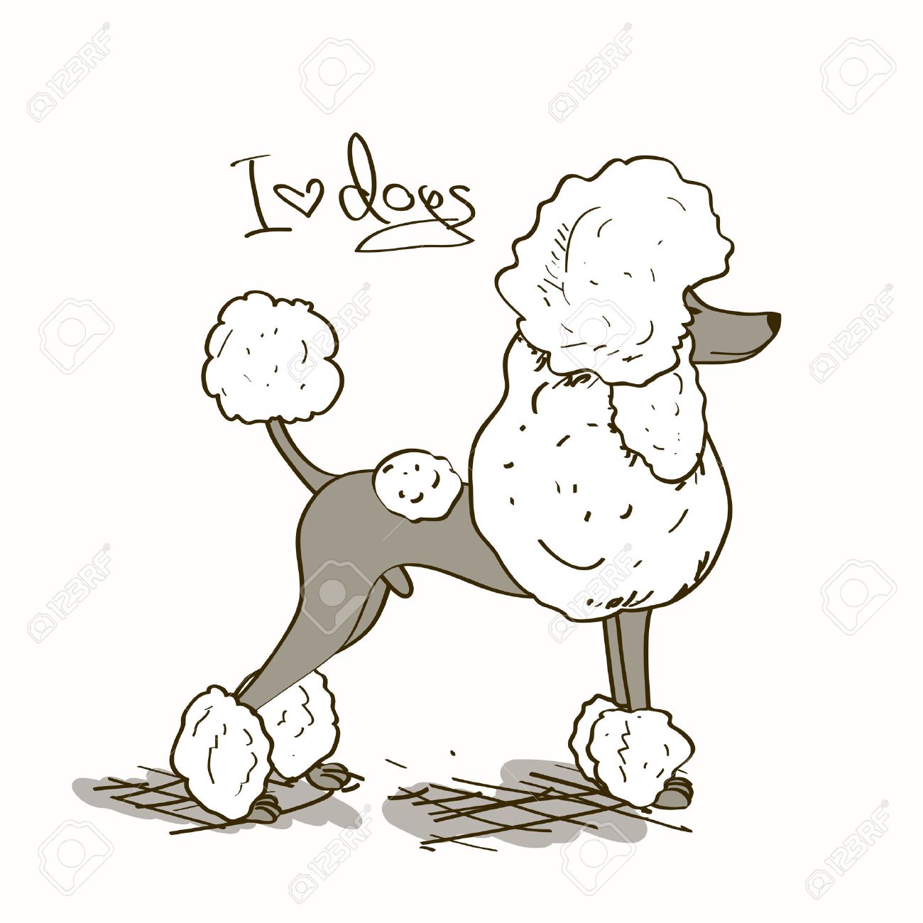 1300x1300 Illustration With Isolated Cartoon Poodle Dog Royalty Free