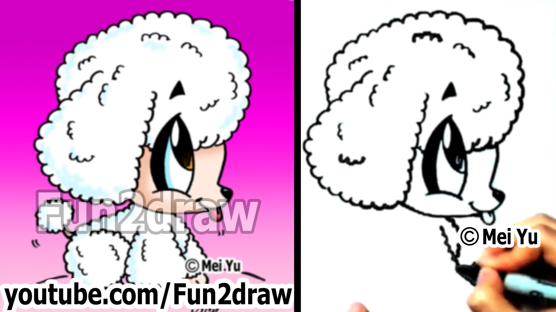 1920x1080 Poodle Puppy