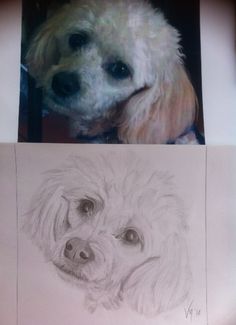 236x325 Evening Glow Of Yosemite Waterfall 1930 Products, Drawings