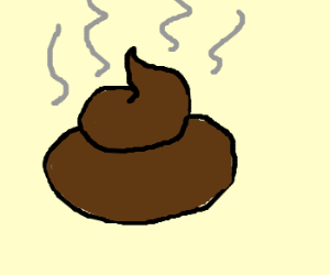300x250 Poop