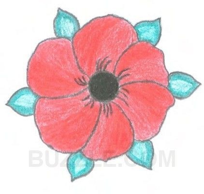 422x400 How To Draw A Poppy Flower Awesome Drawn Poppy Real Flower Pencil