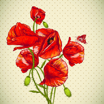 368x368 Red Poppy Drawing Free Vector Download (94,375 Free Vector)