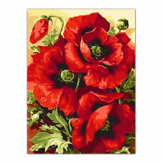 640x640 Diy Beautiful Red Poppy Flower Oil Painting By Numbers Acrylic
