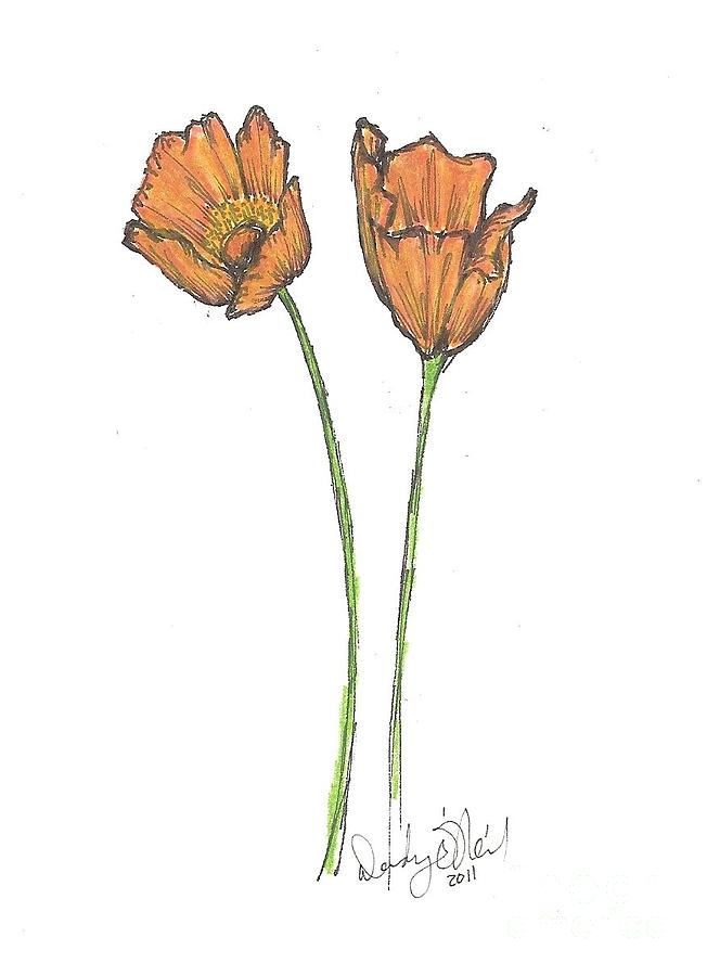652x900 Orange Poppy Drawing By Wendy Oneil