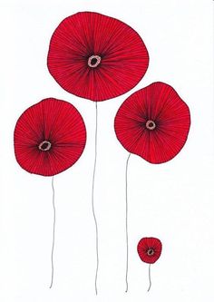 236x333 Poppy Flowers Flowers Poppy Flowers, Drawings