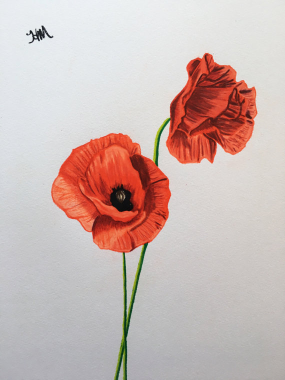 570x760 Poppy Flower Drawing Wall Art Flower Drawing Original Pencil