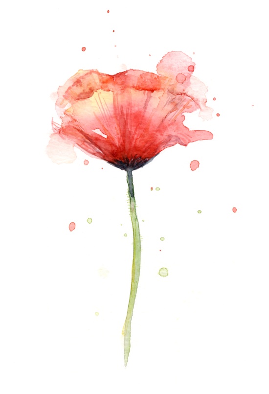 550x805 Red Poppy Watercolor Floral Illustrationby Olechka Tatoo