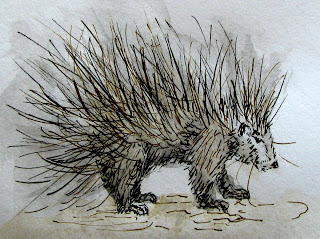 320x239 Desideratum Art And Jewelry Porcupine . Skull, Quills, Bones