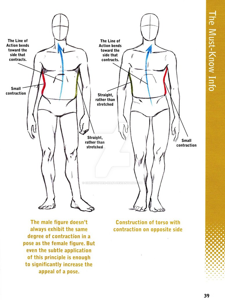 774x1033 Drawing Natural Poses By Christopher Hart
