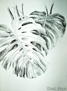 236x318 Mirror Image Of Negative Space Variations Of Geometric