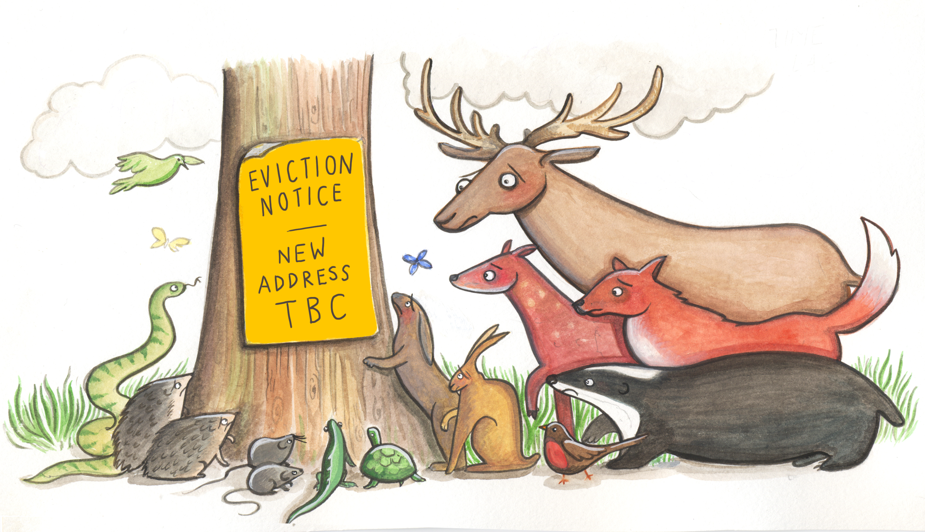 3149x1812 Posters And Graphics Nature Not For Sale