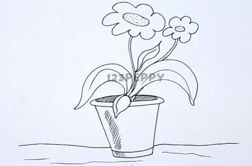 500x330 How To Draw Flower Pot