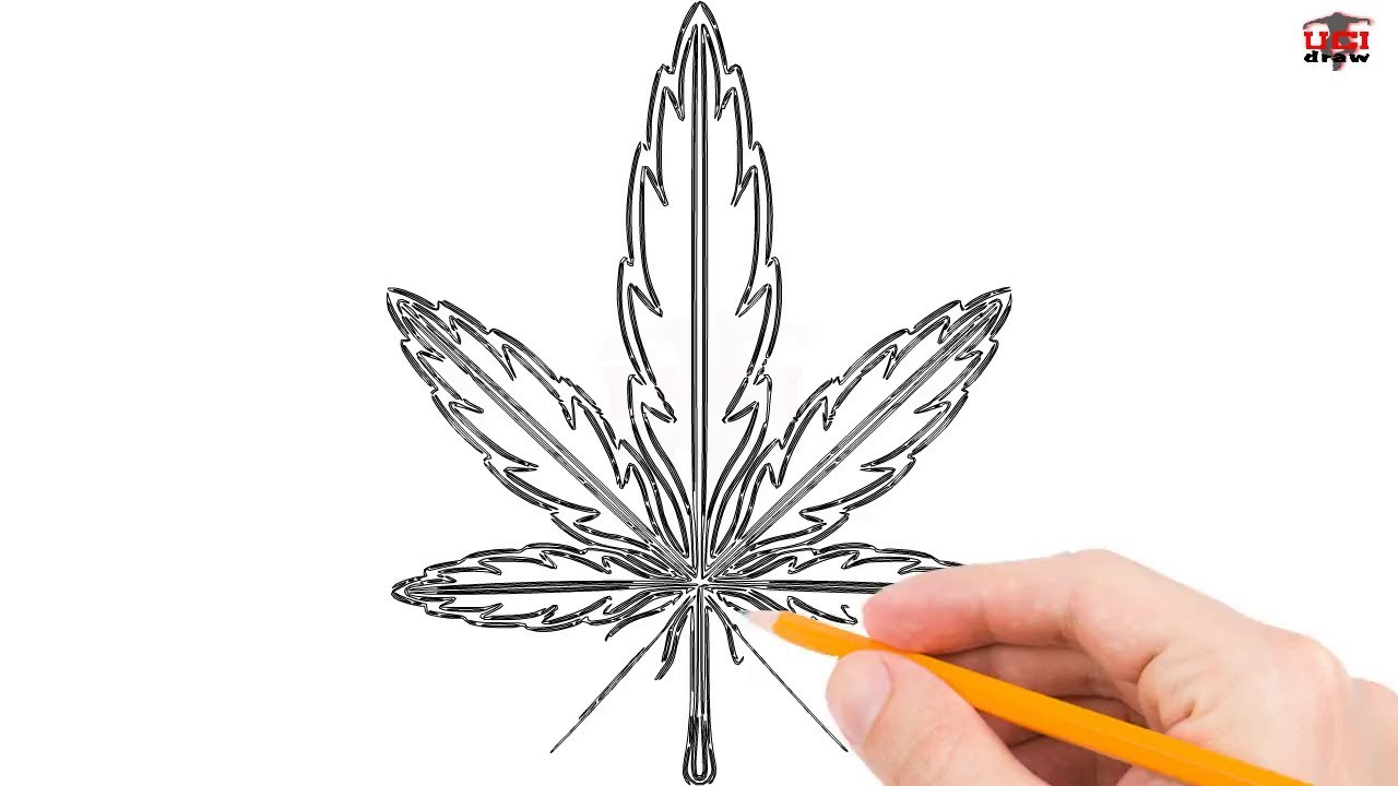 1280x720 How To Draw A Weed Leaf Step By Step Easy For Beginnerskids