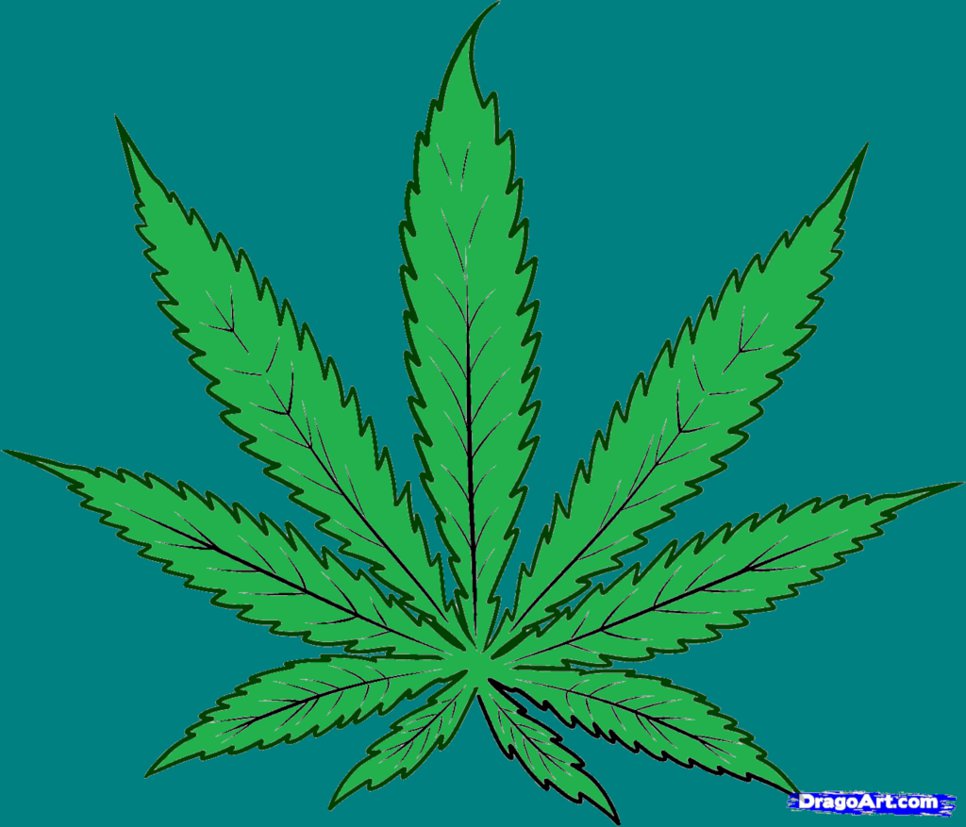 966x827 How To Draw Cannabis, Cannabis Leaf Step 4a By Bigkrocks