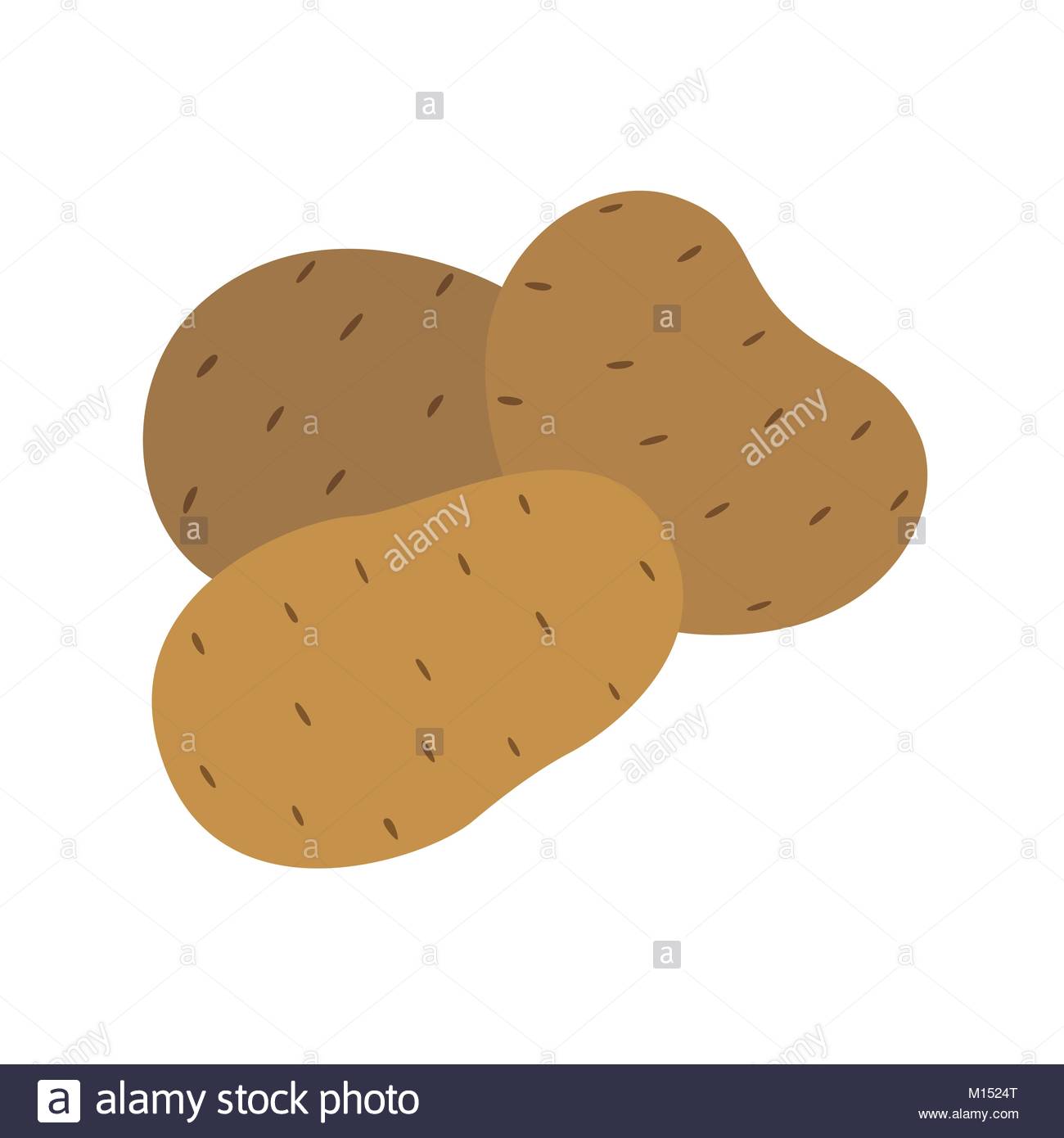 1300x1390 Potato Vector Drawing. Isolated Hand Drawn Potatoes Heap. Detailed