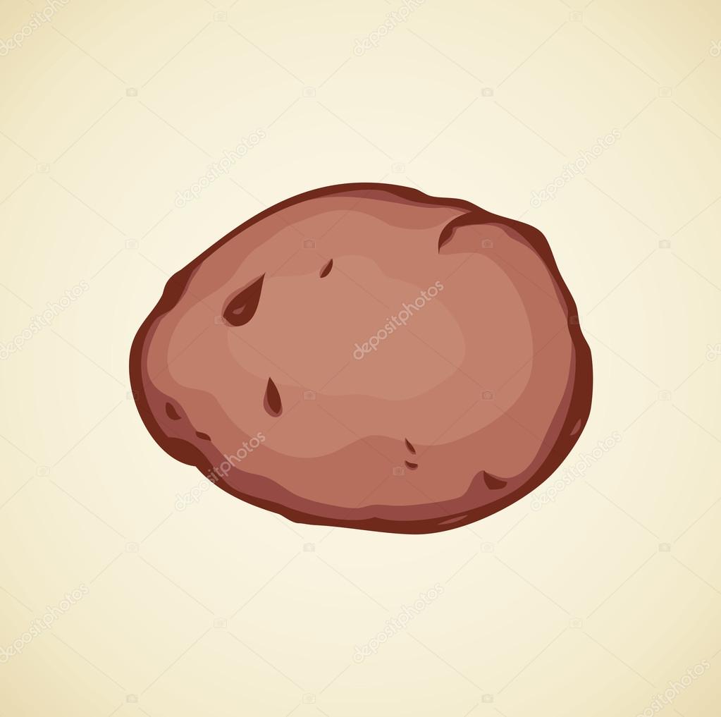 1023x1017 Potato. Vector Drawing Stock Vector Marinka