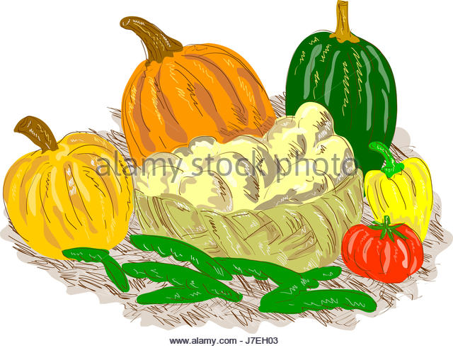 640x491 Potato Drawing Stock Photos Amp Potato Drawing Stock Images