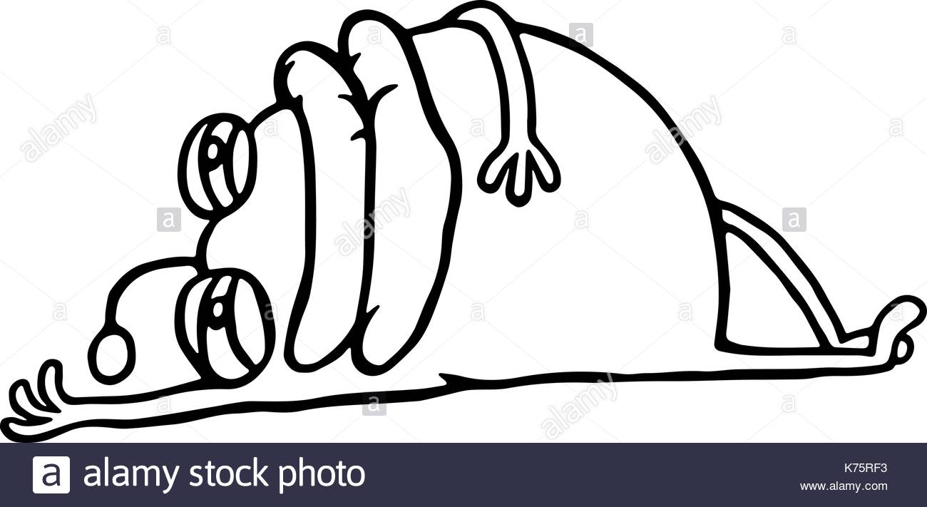 1300x711 Potato Vector Vectors Stock Photos Amp Potato Vector Vectors Stock