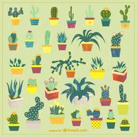 200x200 Hand Drawn Potted Cactus Vector Free Vector Download In Ai