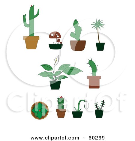 450x470 Potted Cactus Drawing