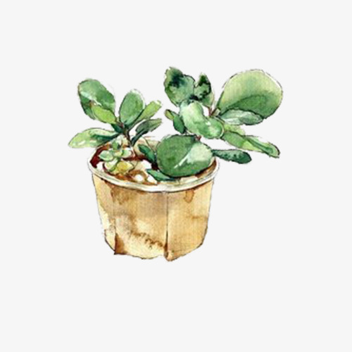 500x500 Hand Drawing Green Cactus, Green, Cactus, Potted Png Image