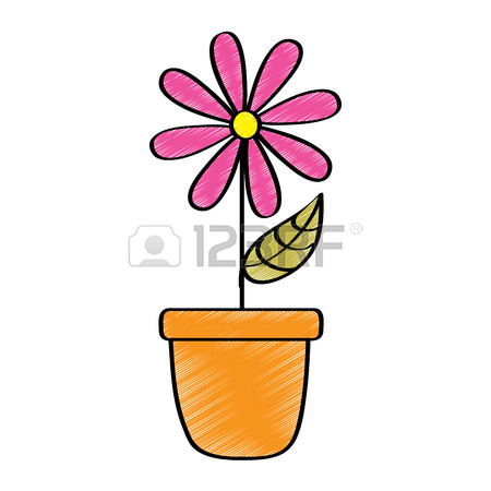 450x450 Potted Gerbera Stock Photos. Royalty Free Business Images