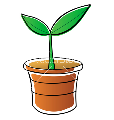 380x400 Potted Plant Drawing Clipart Panda