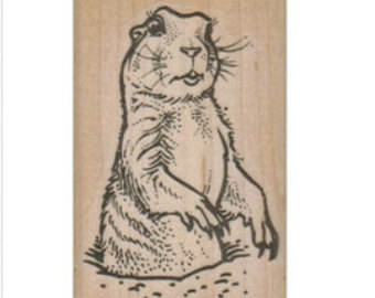 340x270 Prairie Dog Sticker Etsy
