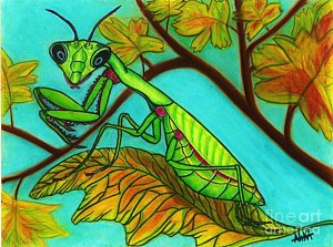 300x223 Child Praying Drawings Fine Art America