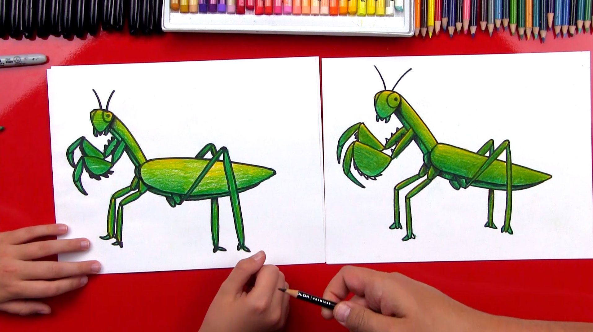 1914x1072 How To Draw A Praying Mantis