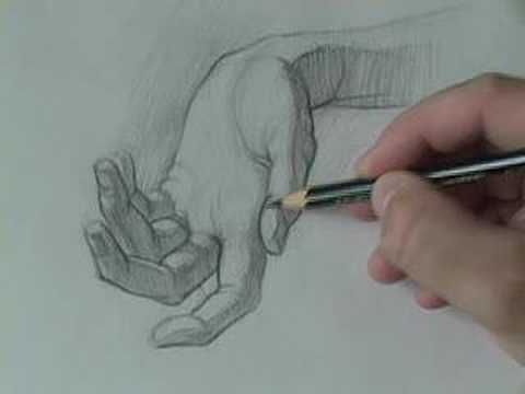 480x360 Drawing Tutorials How To Draw The Hand