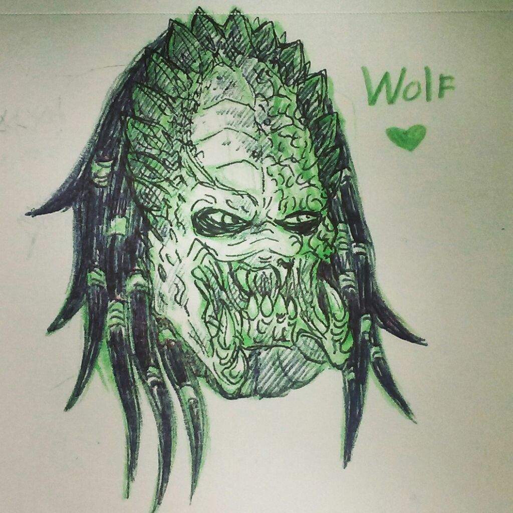 1024x1024 Wolf Predator Drawing And Starlight wolf Comic Alien Versus