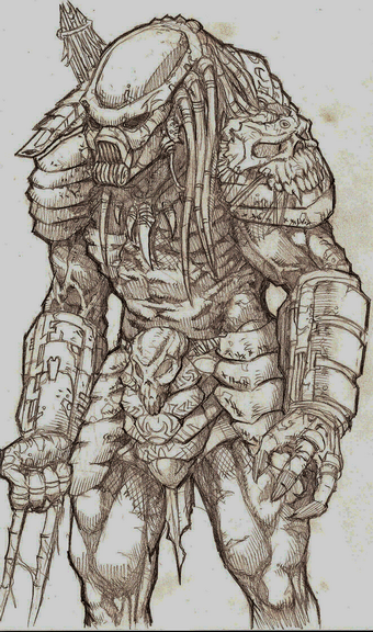 340x576 Predator Drawing By Overdrivezero