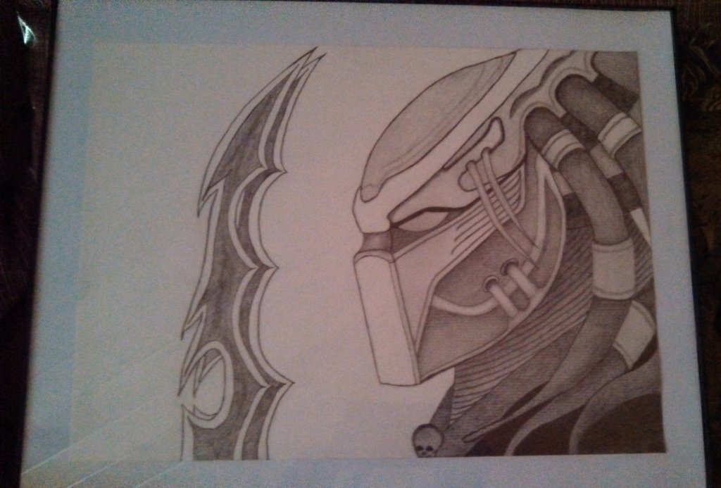 1024x693 Predator In Pencil By Rockinrobin581