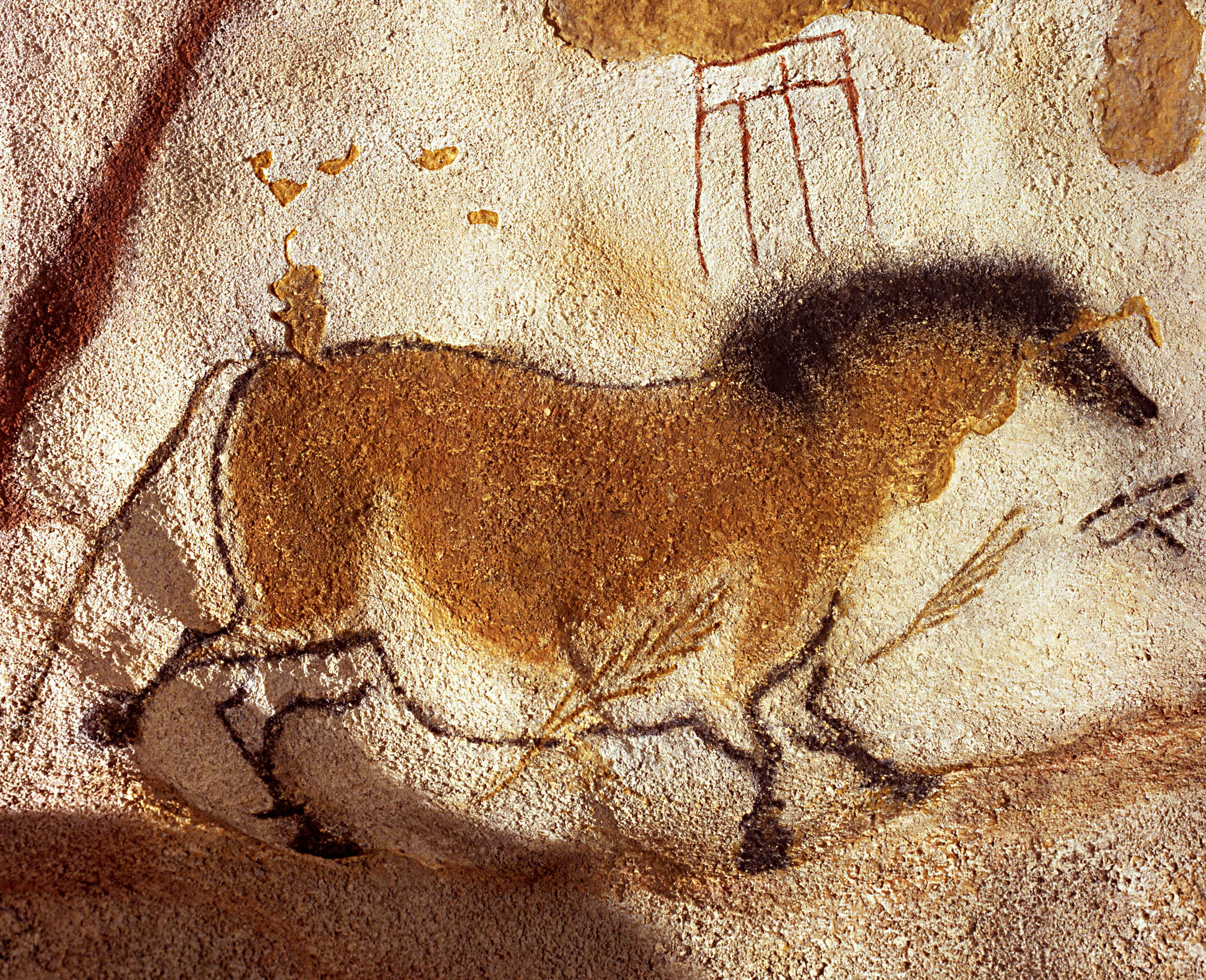 3543x2880 Dna Provides New Insights Into Cave Paintings Of Horses