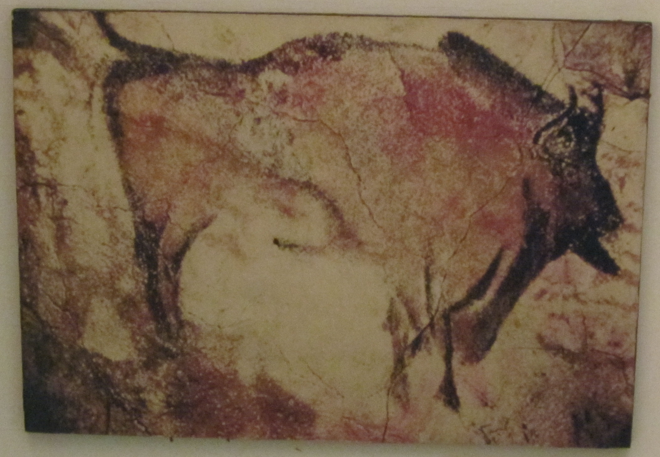2105x1456 Fileprehistoric Cave Drawing Of Bison, World Museum Liverpool.jpg