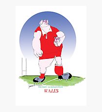 210x230 Funny Welsh Rugby Gift Ideas Presents Drawing Photographic Prints