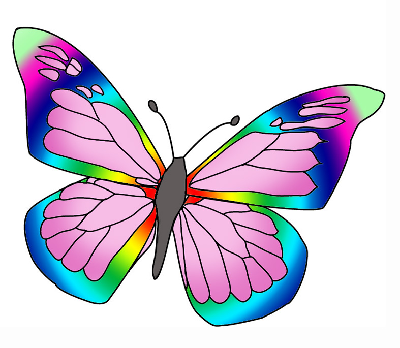 787x685 Beautiful Butterfly Images