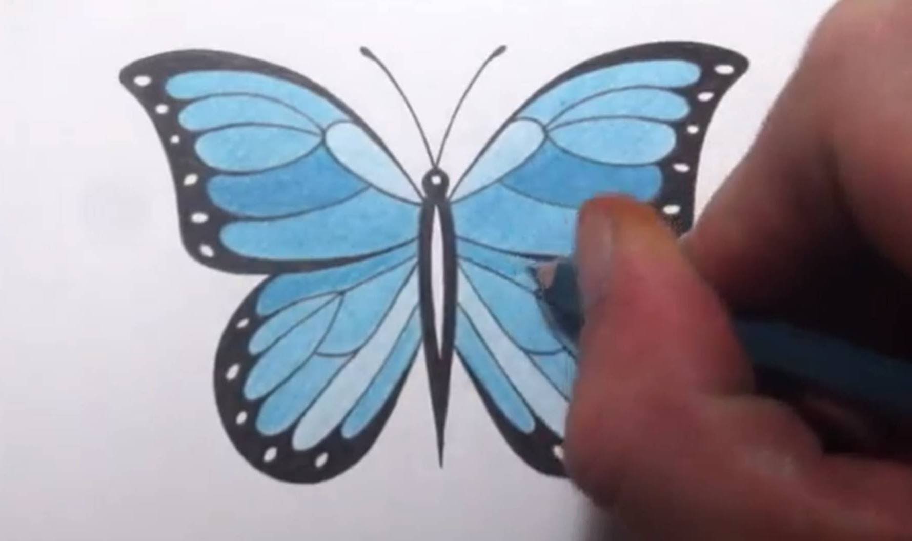 Pretty Butterfly Drawing at GetDrawings | Free download