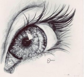 320x294 Pretty Eye! Photographyartsynature Eye, Artsy