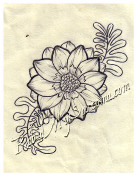 283x364 Tatto Flower Drawings Flower Line Drawing By