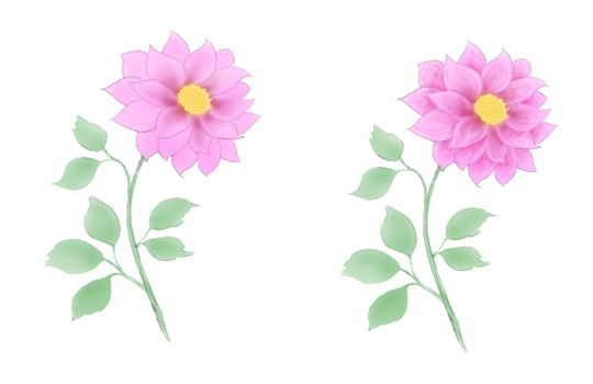 540x350 How To Draw A Flower Step By Step