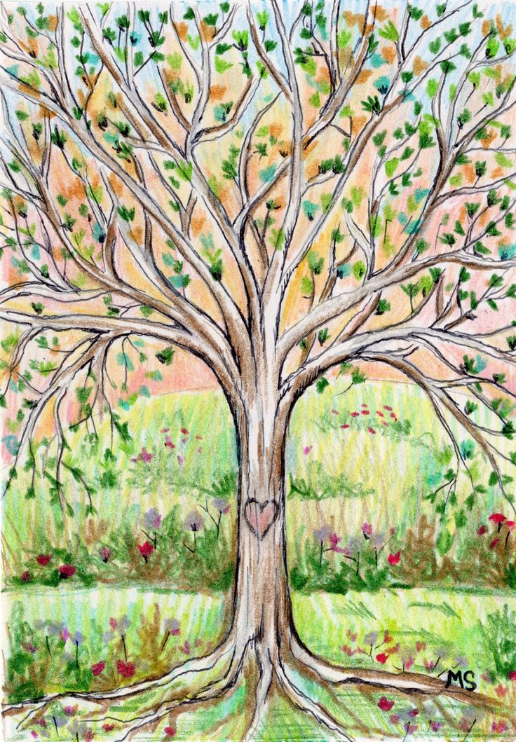 Pretty Tree Drawing at GetDrawings | Free download