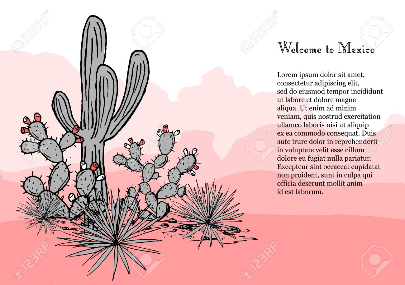 1300x917 Cacti Group. Prickly Pear Cactus, Blue Agaves, And Saguaro. Mexico