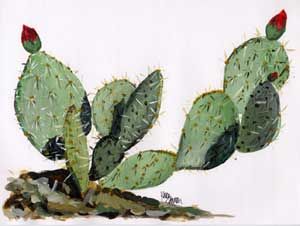 300x226 The Actual Plant. Interesting Places Amp Plants