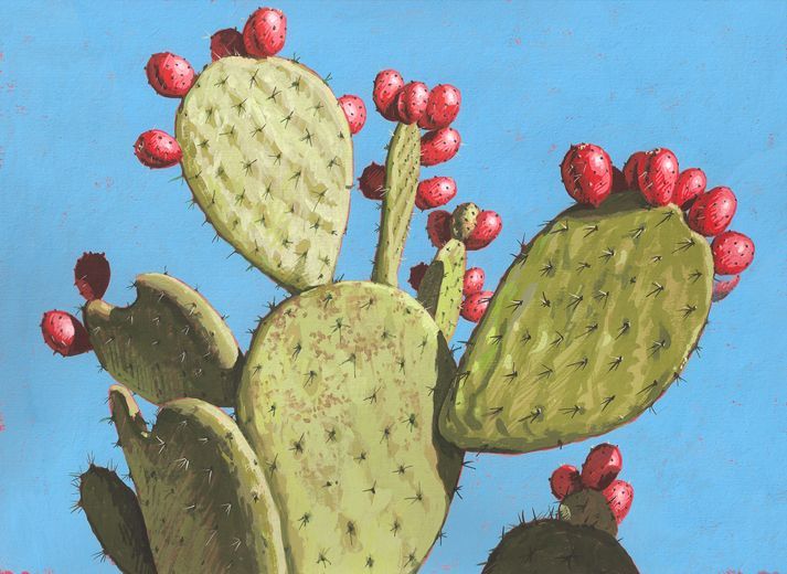 Are You Wholesale Succulents The Most Effective You Possibly Can? 10 Signs Of Failure