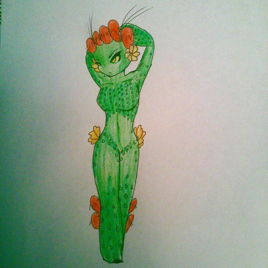 894x894 Prickly Pear Cactus By Plantfragger