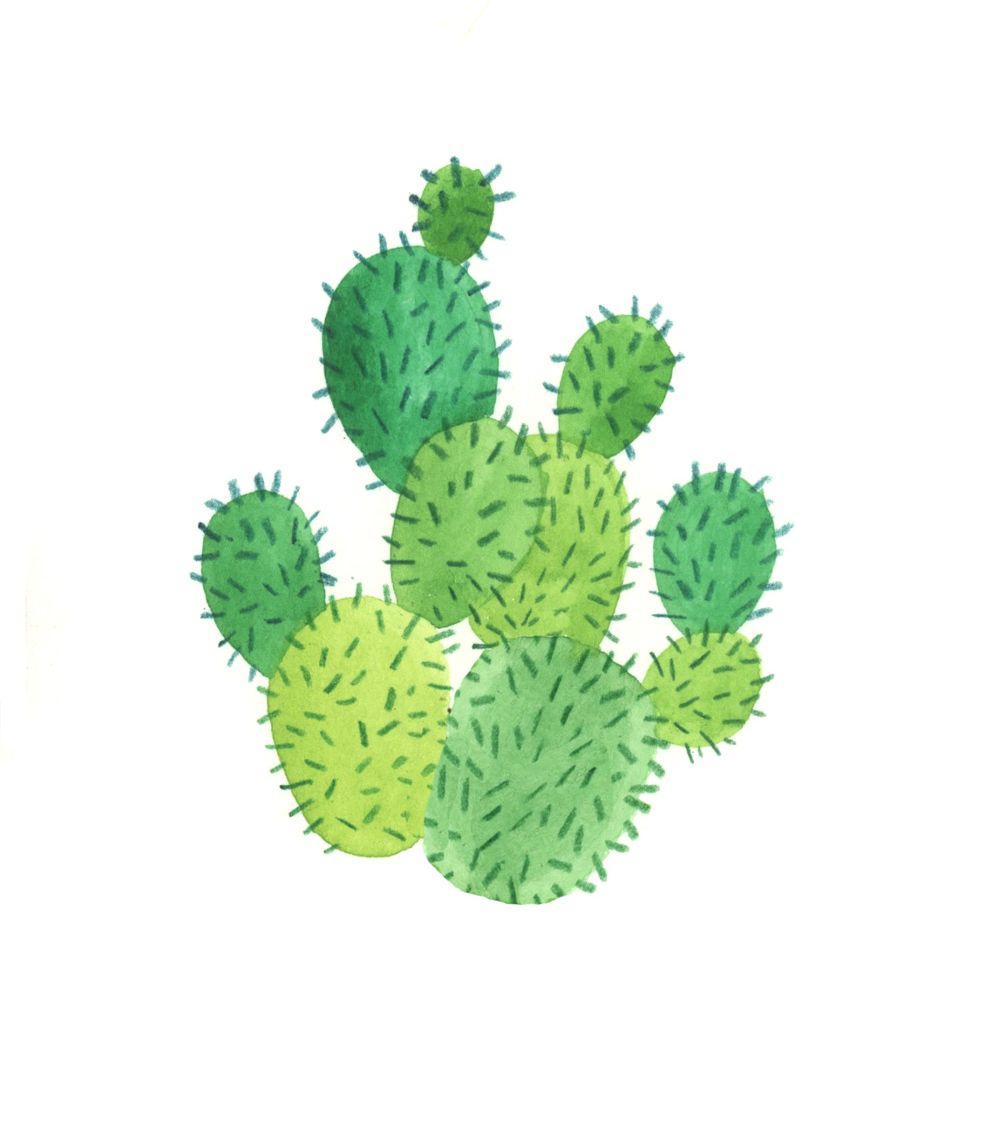 981x1137 Lucy Engelman