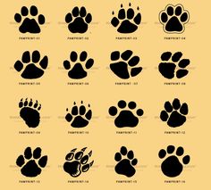 236x213 Tiger Paw Prints Walking Drawing Cougar Paw Prints Cougar Paw